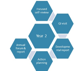 Diagram showing the developmental ‘QI’ Review