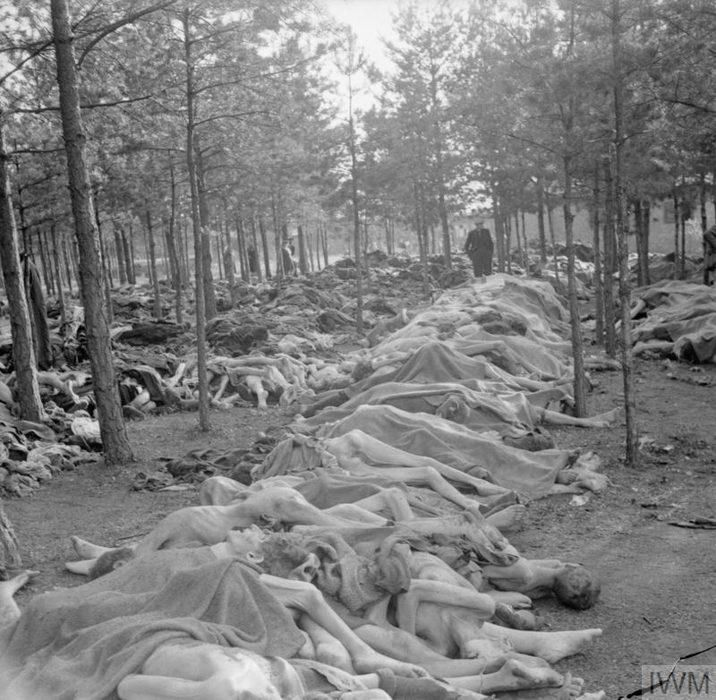 Piled bodies in the woods near Belsen concentration camp