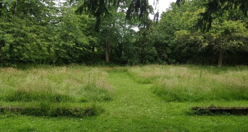Grassy area with overgrown areas between trimmed paths.