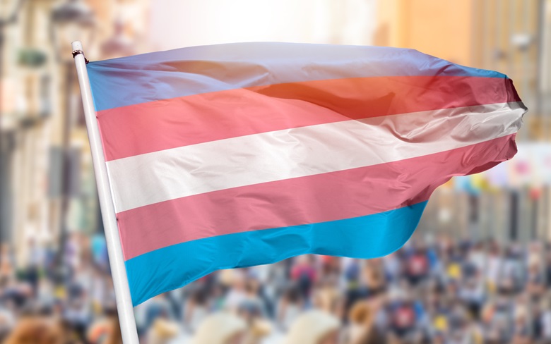 Supporting Transgender Adult Patients