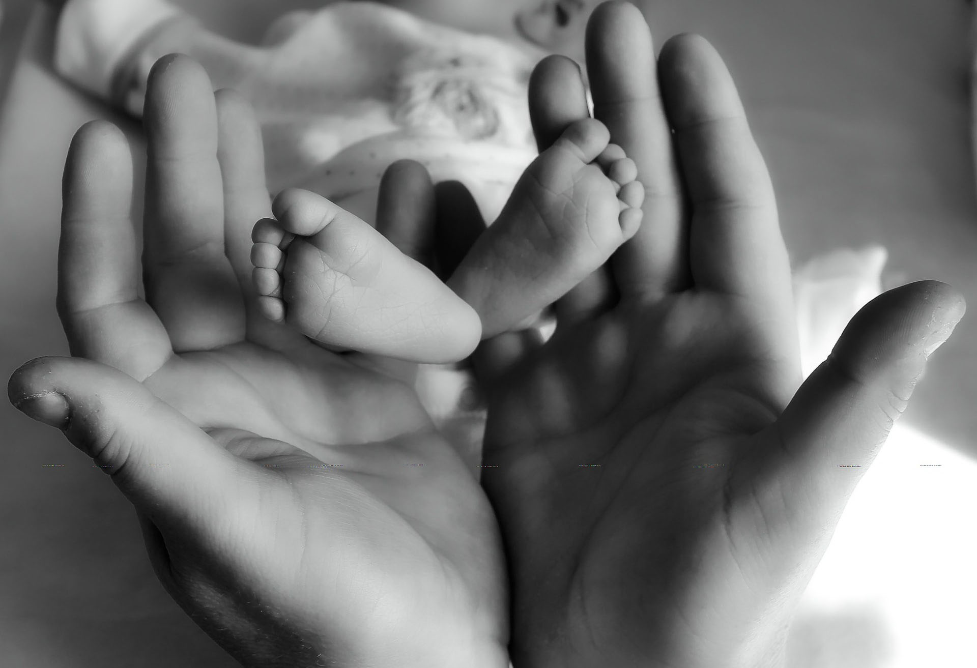 Trainees Perinatal Mental Health Conference for Health Care Professionals 2026
