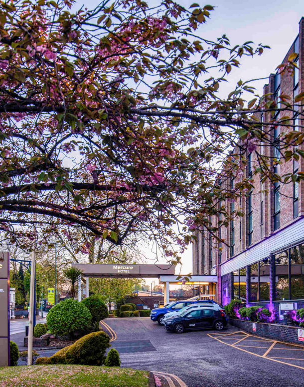 Trent and West Midlands Joint Winter Conference – 'Interface between General Adult and Forensic Psychiatry'