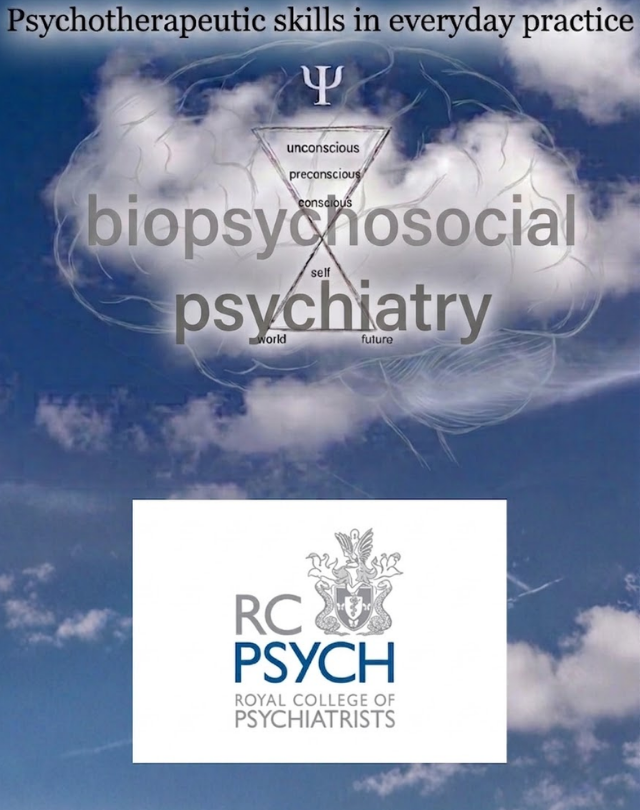 Psychotherapeutic skills in everyday practice webinar series