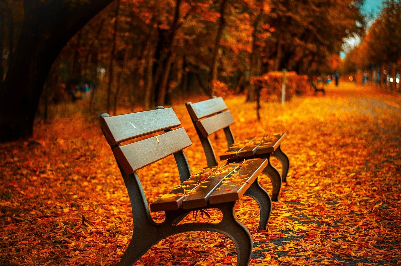 benches-560435_1280