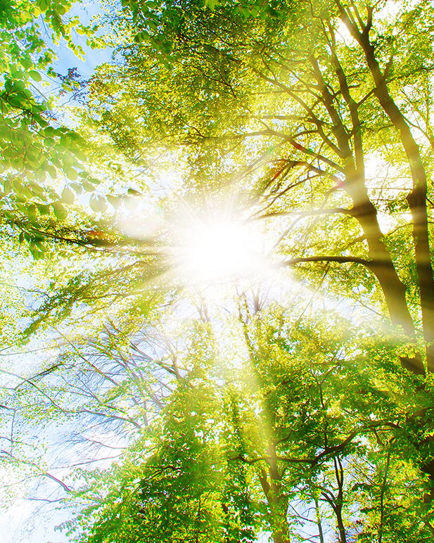 FULLY BOOKED - Spirituality SIG | Possession states and psychiatry: the interface of faith and clinical decision making