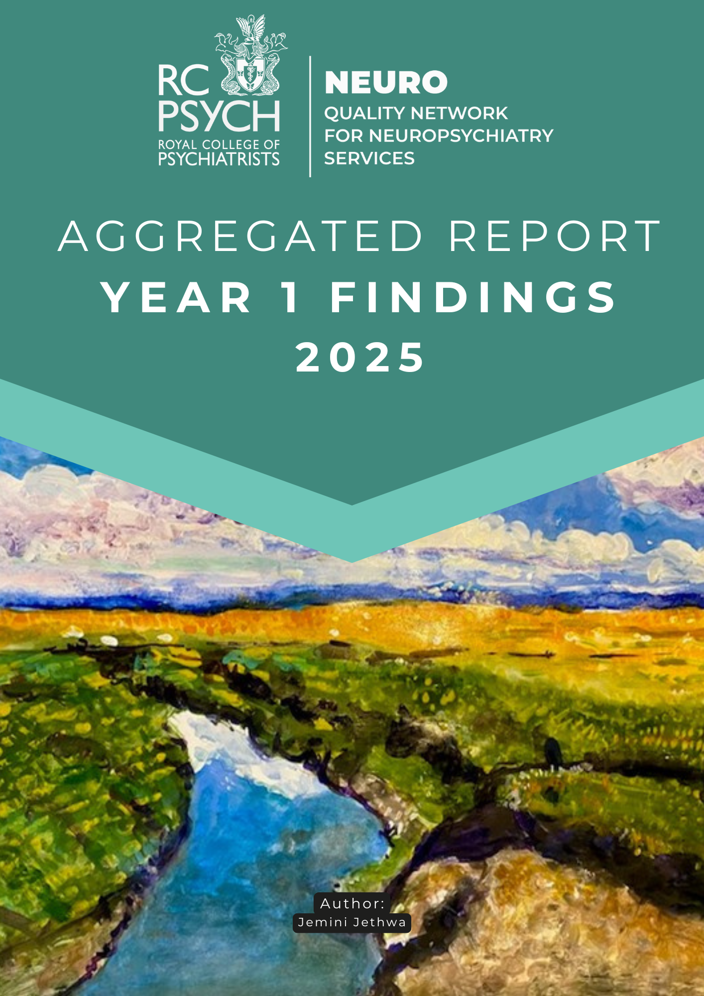 QN-Neuro Aggregated Report Year 1 Findings 2025 cover
