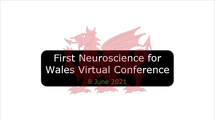 Wales Neuroscience Conference