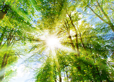 call for climate