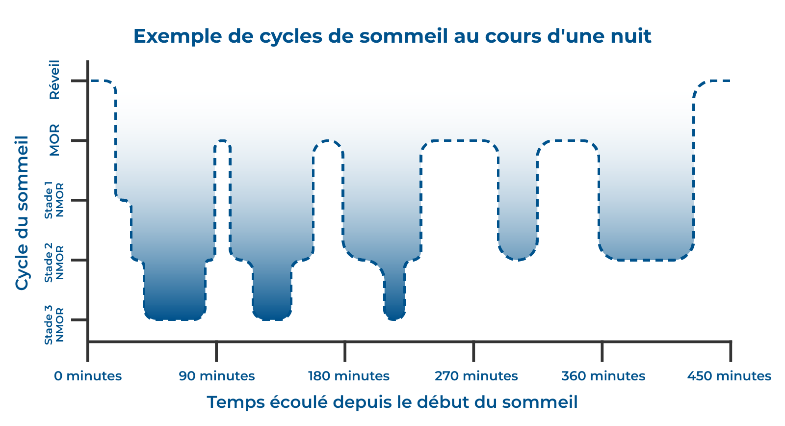 Example of sleep cycles in a night in French