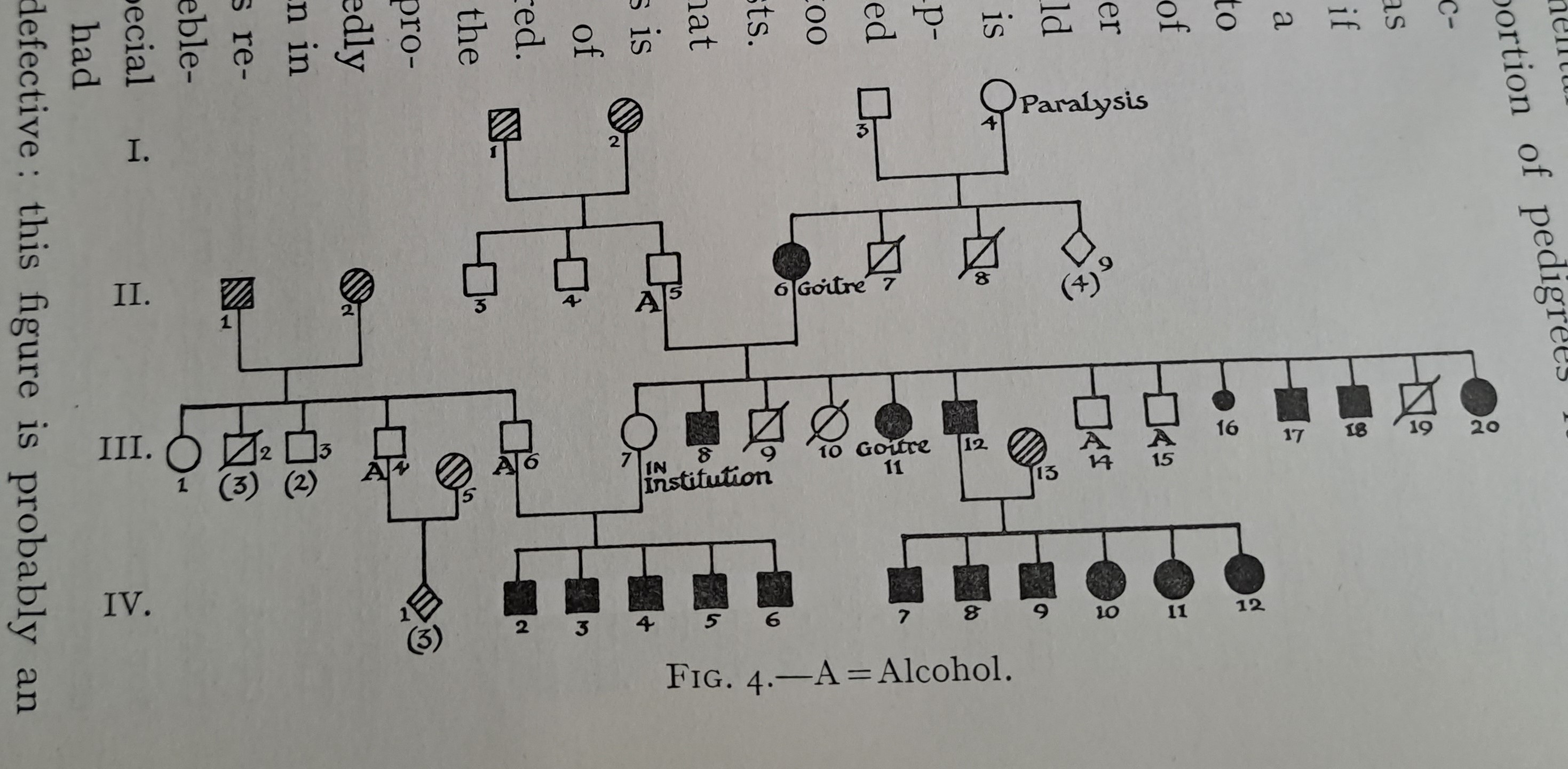 Family tree tracking alcoholism