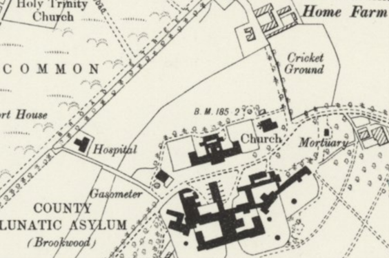 old OS map showing building complex in black labelled as County Lunatic Asylum, next to it is an area labelled as Cricket Ground