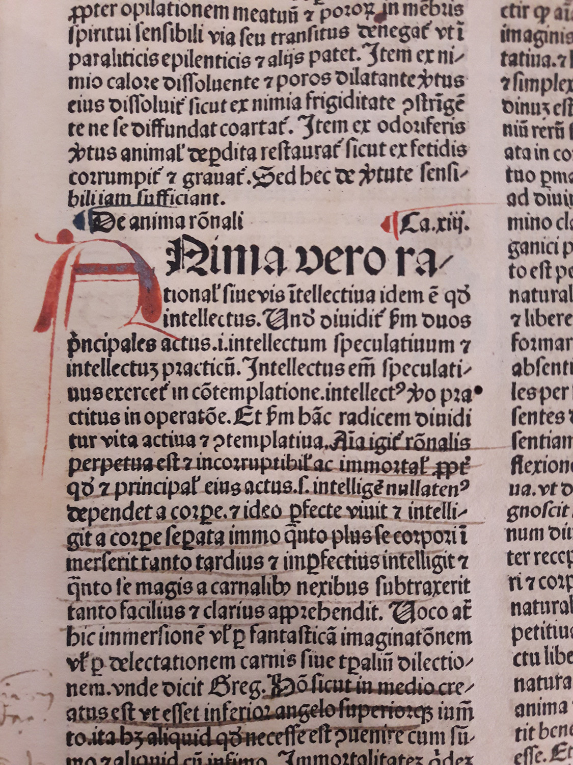 Incunable initial