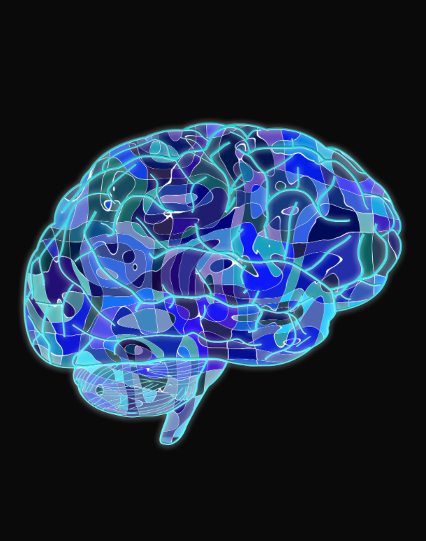 National ECT Training Day