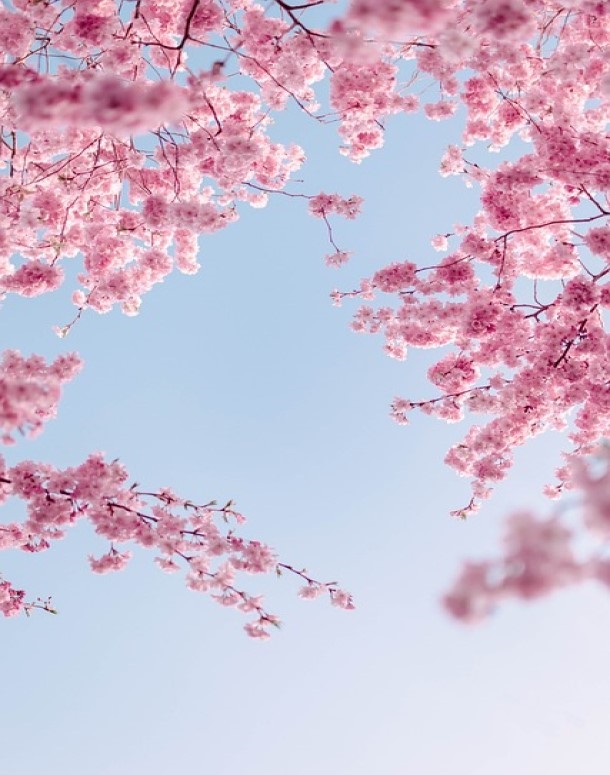 From Childhood to Adulthood: Advancing Mental Health Together | Joint Spring Conference CAP and GAP