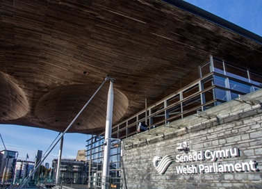 Senedd Cymru - Welsh Parliament