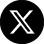X icon 2024